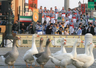 Festa dell'Oca a Mirano in piazza